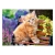 49958 Z.CAS Puzzle 180el Ginger Kitten 2-13159