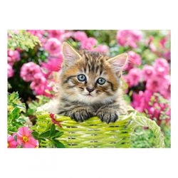 67204 Z.CAS Puzzle 100el Kitten in Flower 2-11686