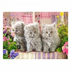 67188 Z.CAS Puzzle 300el Three Grey Kittens 2-15877