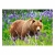 73055 Z.CAS Puzzle 120el Bear On The Meadow 2-13149