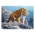78147 Z.CAS Puzzle 180el Tiger on the Rock 2-18381