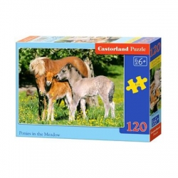 41166 Z.CAS Puzzle 120el Ponies in the-11158