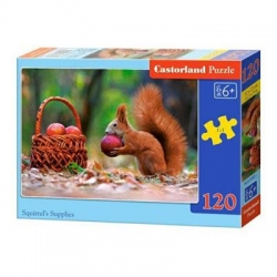 56899 Z.CAS Puzzle 120el Squirrels Supplie-11160