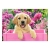 58354 Z.CAS Puzzle 500el Labrador Puppy 2-11167