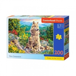 75924 Z.CAS Puzzle 200el New Generation-11700
