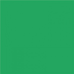 Brystol  zielony ciemny A1/111 Inter    