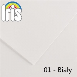 5562 - CANSON BRYSTOL Iris-01_Bialy-4198