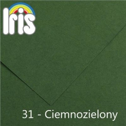 5569 - CANSON BRYSTOL Iris-31_Ciemnozielony-4202