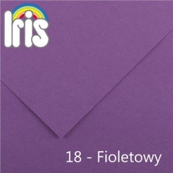 5572 - CANSON BRYSTOL Iris-18_Fioletowy-4206