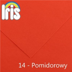 9509 - CANSON BRYSTOL Iris-14_Pomidorowy-4219