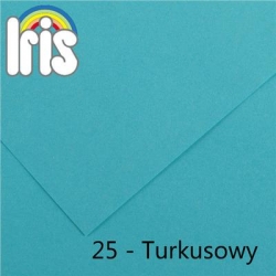 5587 - CANSON BRYSTOL Iris-25_Turkusowy-4224